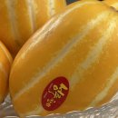 배순농장 이미지