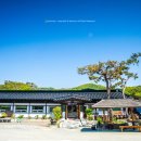 삼일보신 이미지