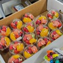 프렌즈 당구장 | [KOICA] 프로젝트 봉사단 6기 국내교육 수료 후기, 정보