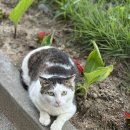 꽃내음마당공원 앞 이미지