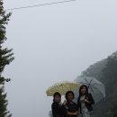 부잣집보쌈 이미지