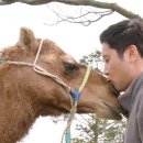 상필농장 네이버블로그