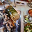 스테미나하우스 이미지