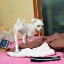 팔달슈퍼 이미지