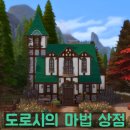 도로시상점.