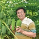 파파야 - 동래구 금강공원로20번길 42 | 파파야