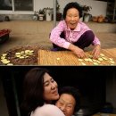 신덕순농장 KBS