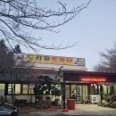도리골토종닭