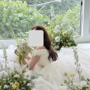 40만 원대 가성비 플라워디렉팅 "라이크유플라워" 촬영 후기