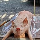 밝은미래결혼상담소 | 나만의 인생 방향을 찾는 대구용한점집, 설화신당에서 진짜 사주상담 받아본다면