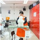 베스트 의정부 애견 미용학원 이미지