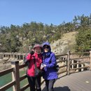 무녀도전망대 | (260416)경수산악회 군산 고군산군도/옥돌해변,장자도-대장봉,선유도 트레킹