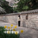 보행자전용도로 2-508 | 경주 벚꽃 축제 대릉원돌담길 대릉원 벚꽃 왕릉 포토존 실시간