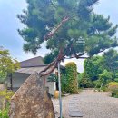 서경삼거리 이미지