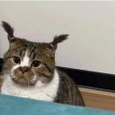 빵, 한모금