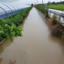 연동배수펌프장 이미지