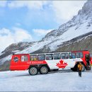 Re:The Glory of the Canadian Rockies ...숲 / 빙하 / 만년설.... : 이미지