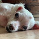 다나스약국 이미지