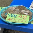 게임쟈키 | Girl, it’s so confusing sometimes to be a girl.