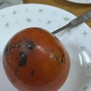 인생개획 이미지