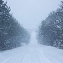 이루텍스 이미지