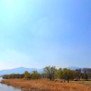 팔당물안개공원 이미지