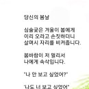 당신의봄날 Daum카페