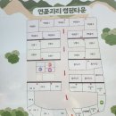 연꽃자리캠핑타운