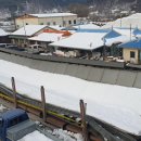 울진시장 이미지