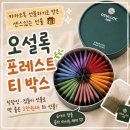 직장인 생일선물 추천 오설록 포레스트 티박스 후기｜카카오톡 선물하기 3만원대 선물 받았어요