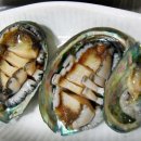 완도참전복 이미지