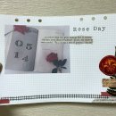 주식회사 데이그린 이미지