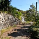 대복민박 이미지