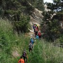 불루모아 이미지