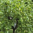 의정부교구 신앙의 유산 아카데미 (첫째 날 25.09.06) 후기 이미지