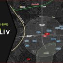 라디체 이미지