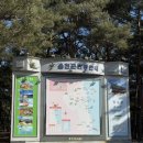 바다와소나무 | 울진 월송정 동해바다와 소나무숲을 보며 힐링하는 곳