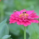 청송정원 이미지