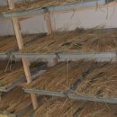 전통주 만들기 이미지