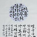 사파동264 이미지