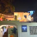 캠핑고양이 도곡점 | 강남 고양이카페, 첫 무릎냥이들 영접 후기 <캠핑고양이>