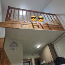 산들바람펜션 | 🏡🐶 양평 메기축제 근처 숙소 추천! 애견 동반 가능 ‘산들바람 펜션’ 실사용 후기