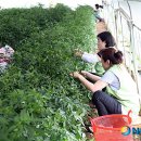 삼웅유통 뉴시스