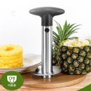 제이에이치엔 이미지