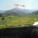 대강초 장정분교 이미지