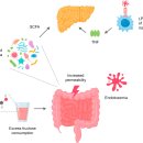 Re: 과당 pathogen 탐구... 22년 영향력지수 33점 논문... 이미지