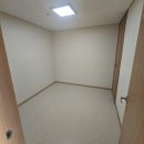 강변살자 | 소노벨 단양 리조트 내돈내산 솔직후기