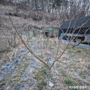 하묘농장 이미지