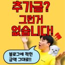 대실역남로4길 | 대구고양이분양 체계적이던 분양 후기