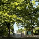 문화회관사거리 4 | 부산 전시 추천 미셸 앙리｜부산문화회관 ‘위대한 컬러리스트’ 관람 후기